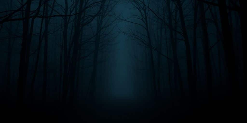 Unexplained Disappearances: The Most Mysterious Cases That Still Baffle Experts